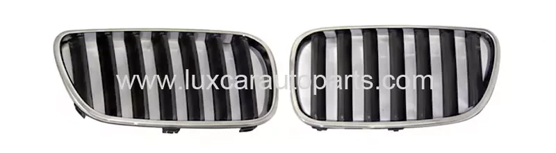 bmw-x3-e83-lci-grille-2007-2010.webp